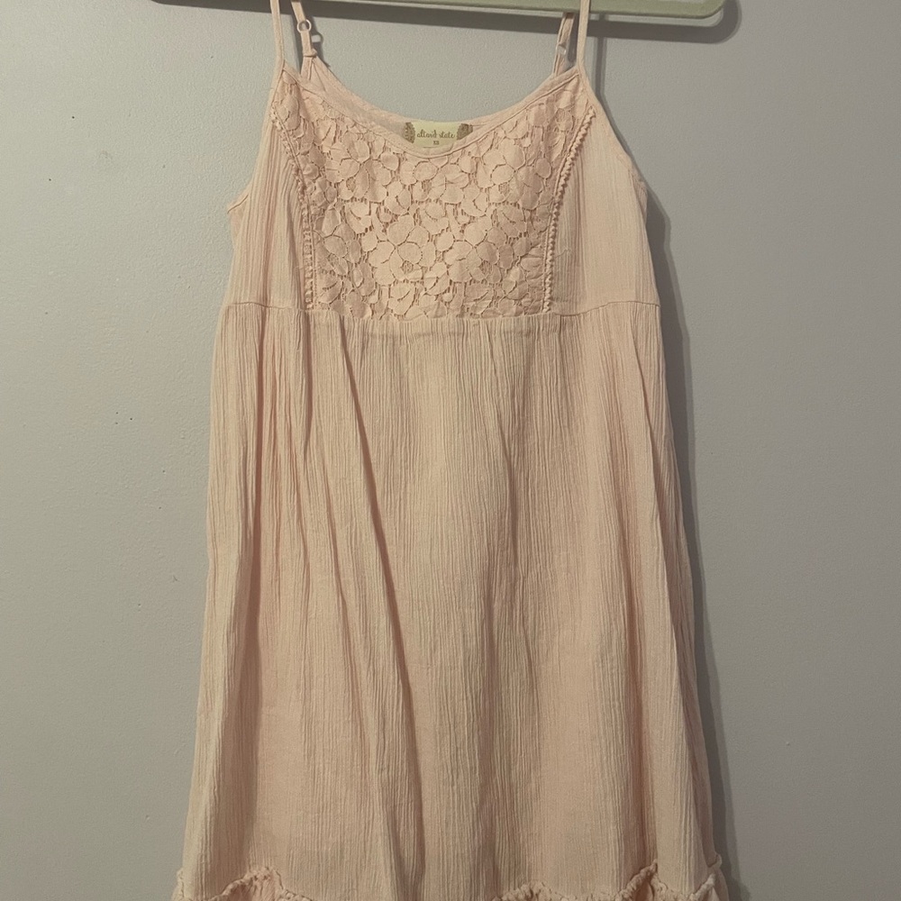 Altar'd State Blush Dress with Lace Detail